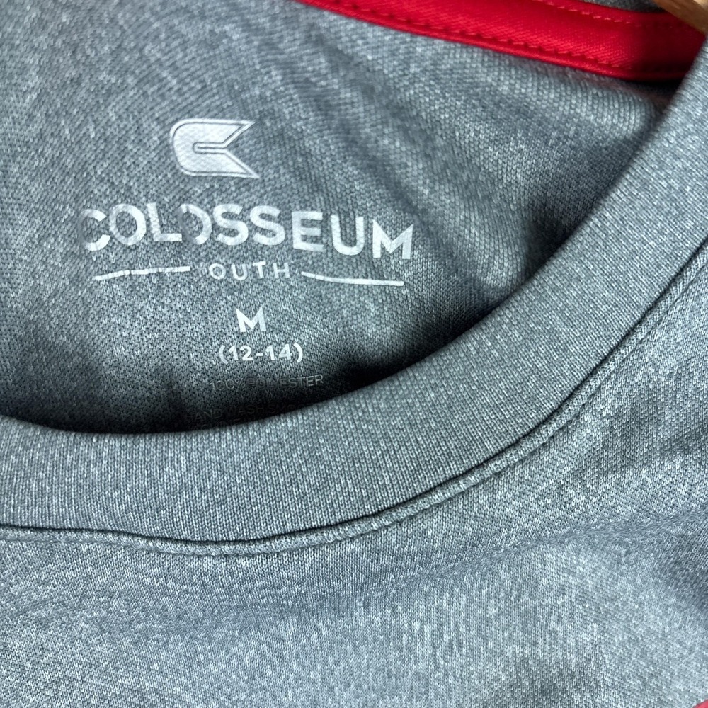 Louisville Cardinals Shirt Youth Medium Gray NCAA Colosseum Graphic Youth NWT - Picture 3 of 5